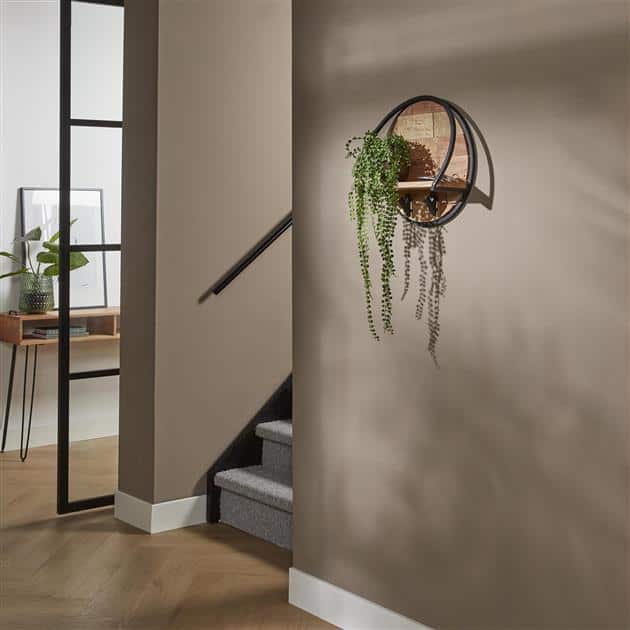 Orvex Round Wall Shelves